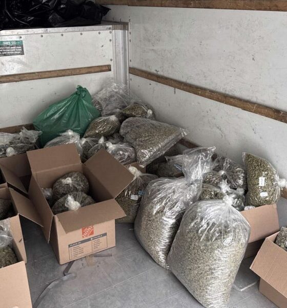 Marijuana Retail Report