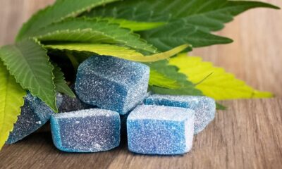 Cannabis Company Files Unfair Trade Practice Suit Against Hemp THC Retailers