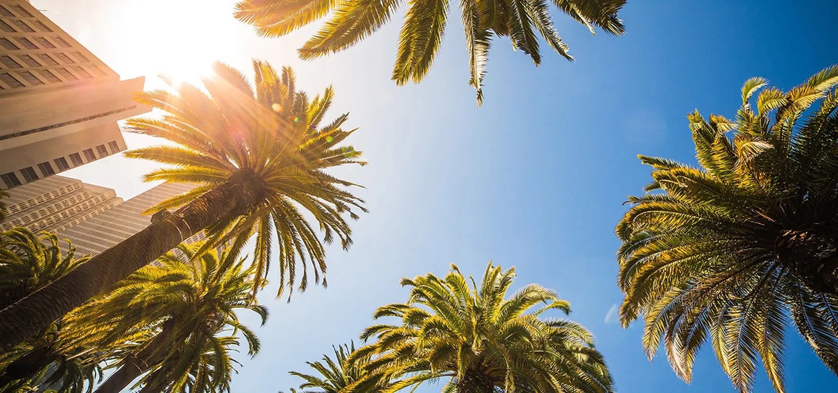 Florida Workshop to Discuss What Constitutes a ‘Cartoon’ in Hemp Packaging