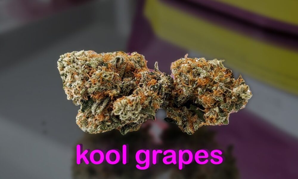 Kool Grapes Marijuana Monday