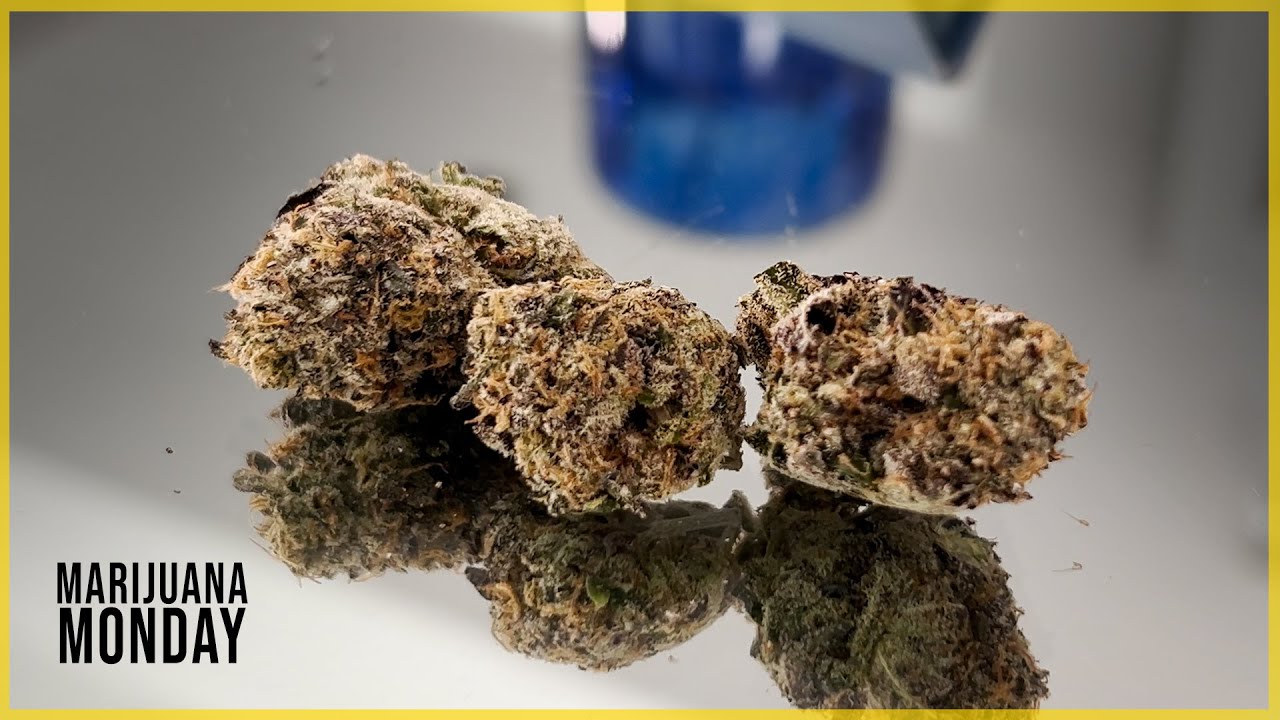 Sherbanger #22  Marijuana Monday