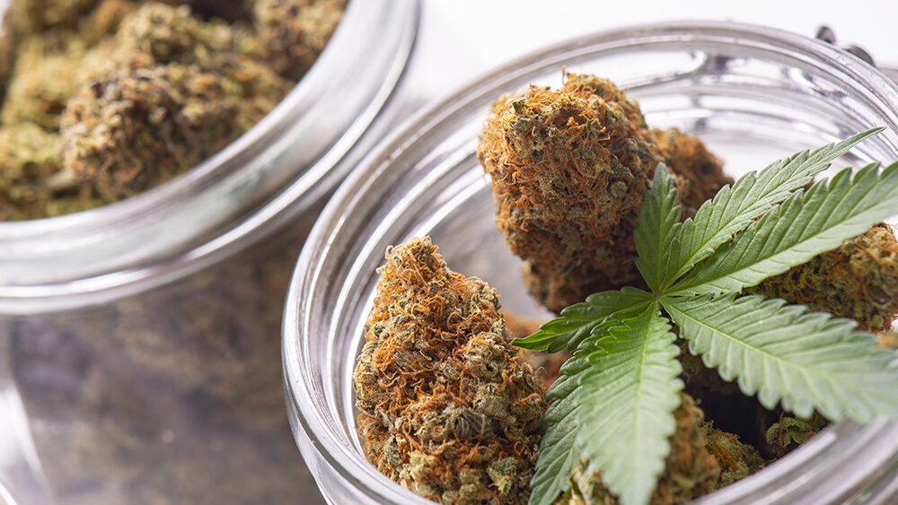 Texas Releases Rules for Expanding Medical Cannabis Dispensary Licenses