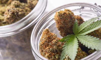 Texas Releases Rules for Expanding Medical Cannabis Dispensary Licenses