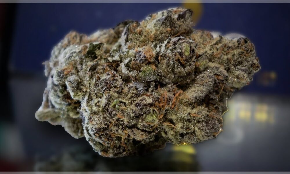 Black Patronus Marijuana Monday