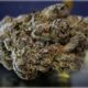 Black Patronus Marijuana Monday