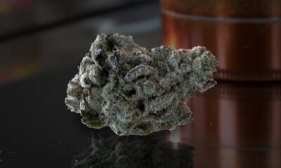 Blackout Bobby Marijuana Monday