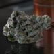 Blackout Bobby Marijuana Monday