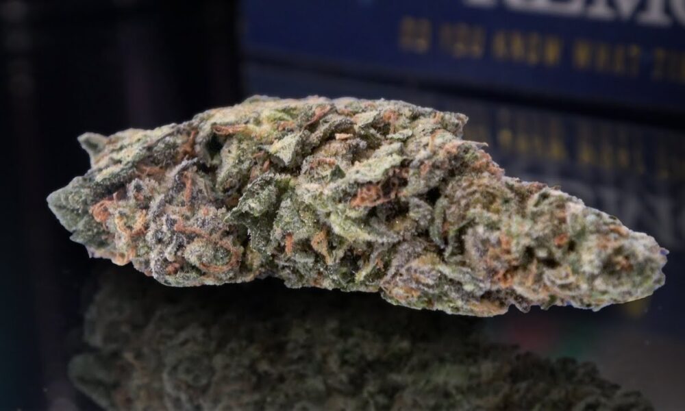 Blue Gum Drops Marijuana Monday