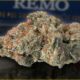 Cap Junky Marijuana Monday