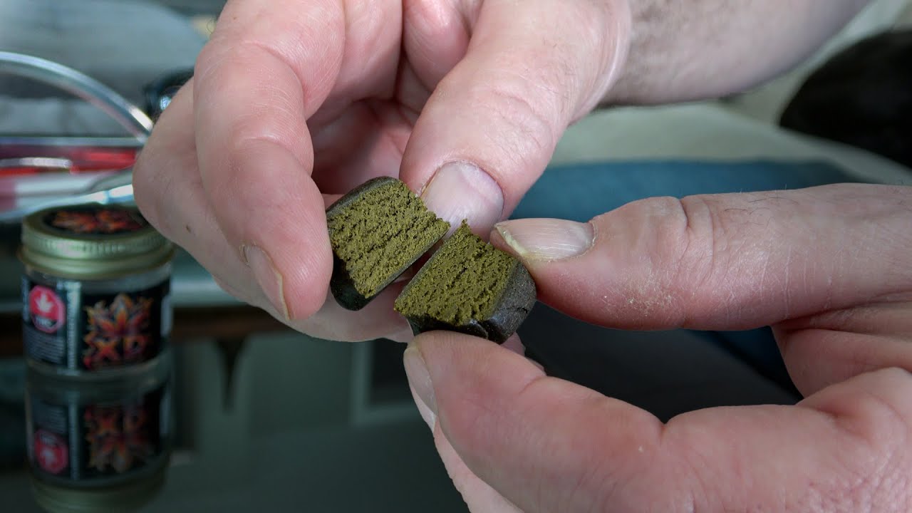 Flower of Begaa Hash Wednesday