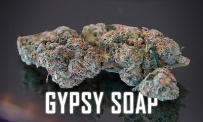 Gypsy Soap Marijuana Monday