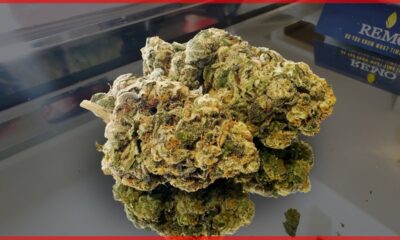 Ice Cream Mintz Marijuana Monday