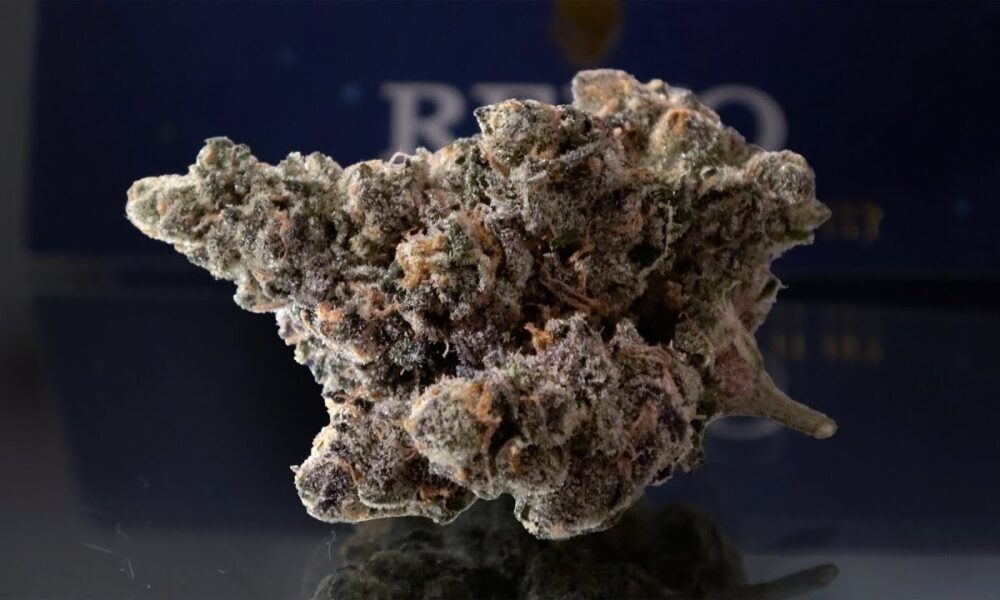 Jealousy Marijuana Monday