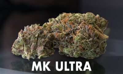 MK Ultra Marijuana Monday