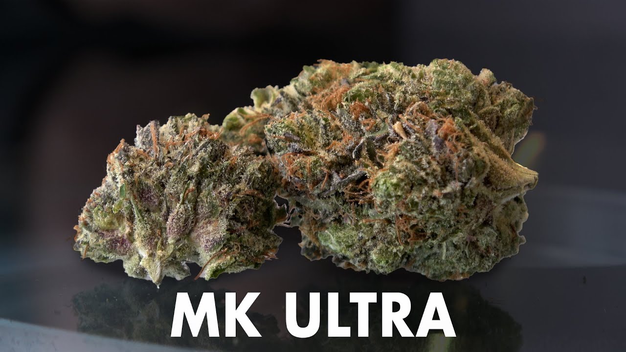 MK Ultra Marijuana Monday