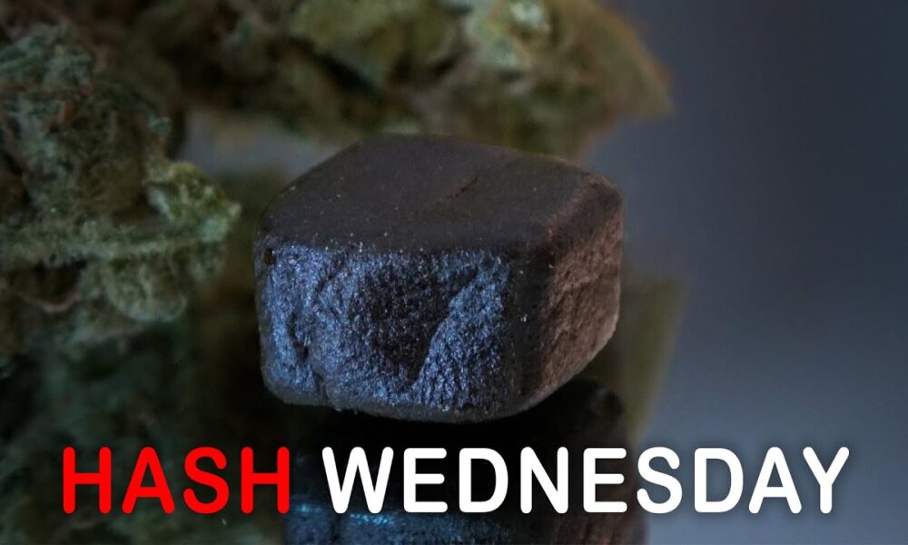 Sage n' Sour Hash Wednesday