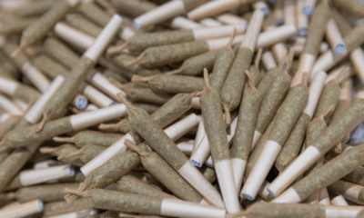 Trump’s India Tariffs Threaten Cannabis Industry’s Fastest-Growing Segment