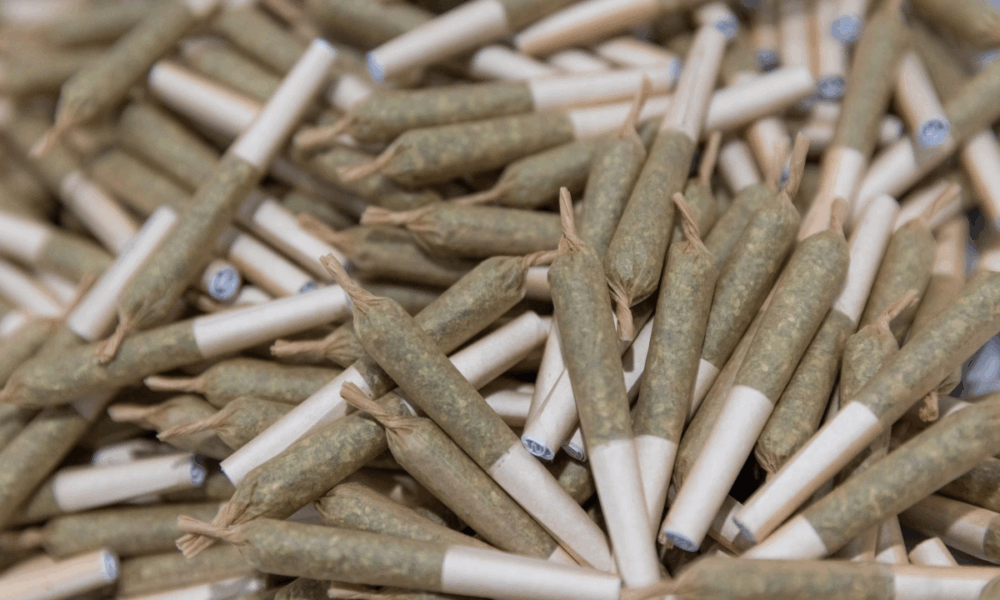 Trump’s India Tariffs Threaten Cannabis Industry’s Fastest-Growing Segment