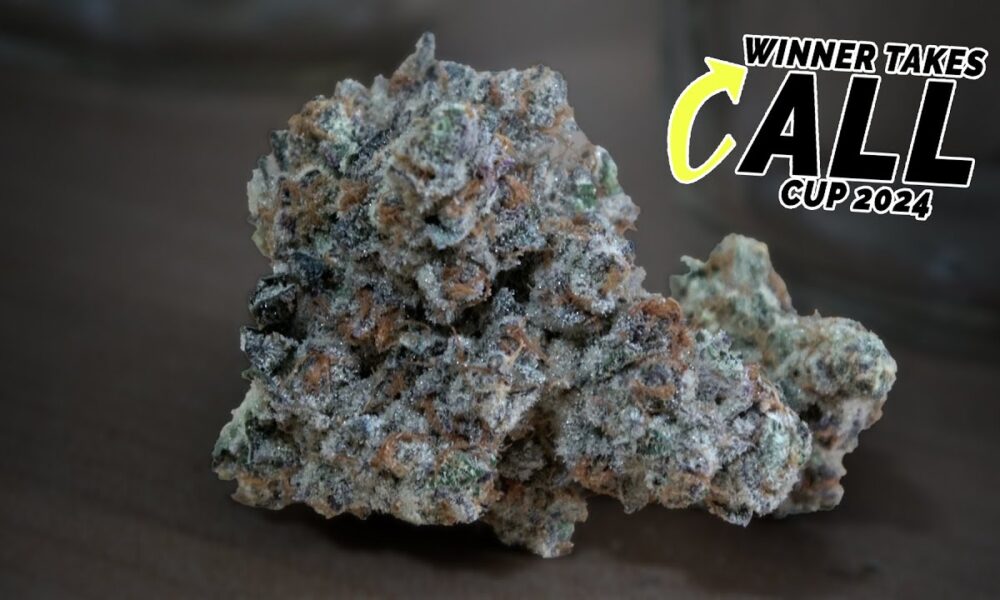 Winner Takes ALL Cup Judges Kit!