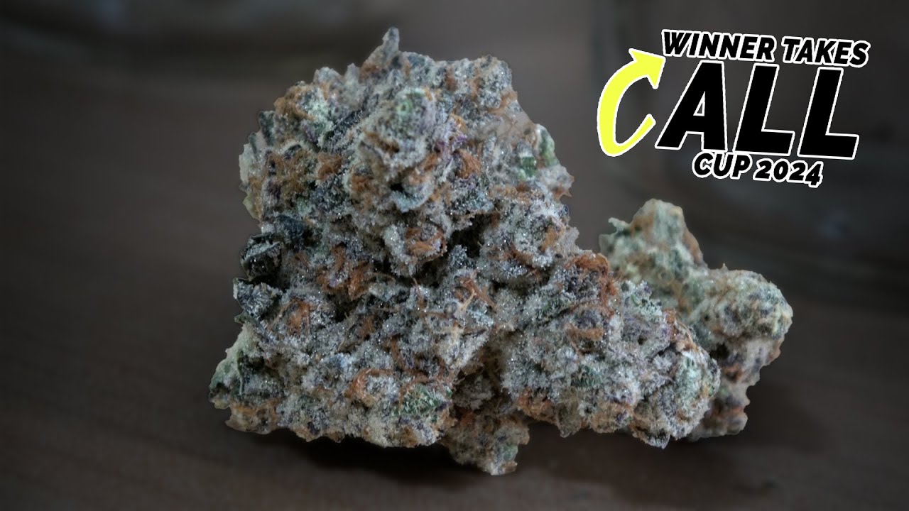 Winner Takes ALL Cup Judges Kit!