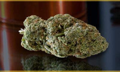 Yellow Mermaid Marijuana Monday