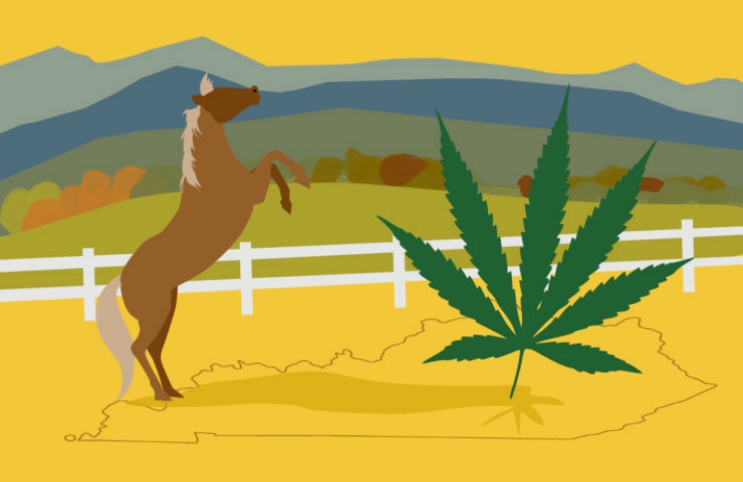 Marijuana Retail Report