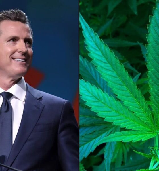 Marijuana Retail Report