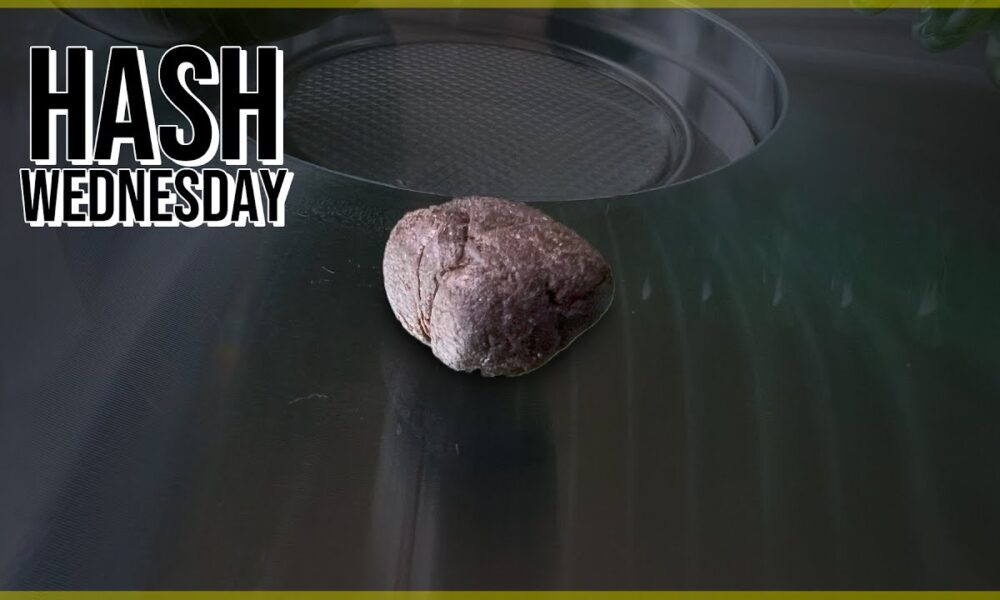 Afghan Black Hash Wednesday