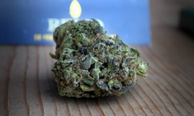 Afghan Skunk Marijuana Monday
