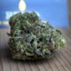 Afghan Skunk Marijuana Monday