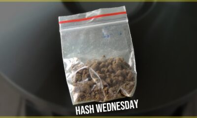 Afghani Bullrider Hash Wednesday