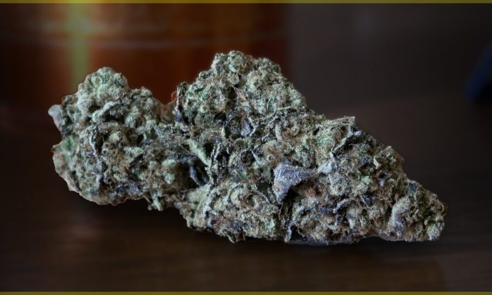 Animal Face Marijuana Monday