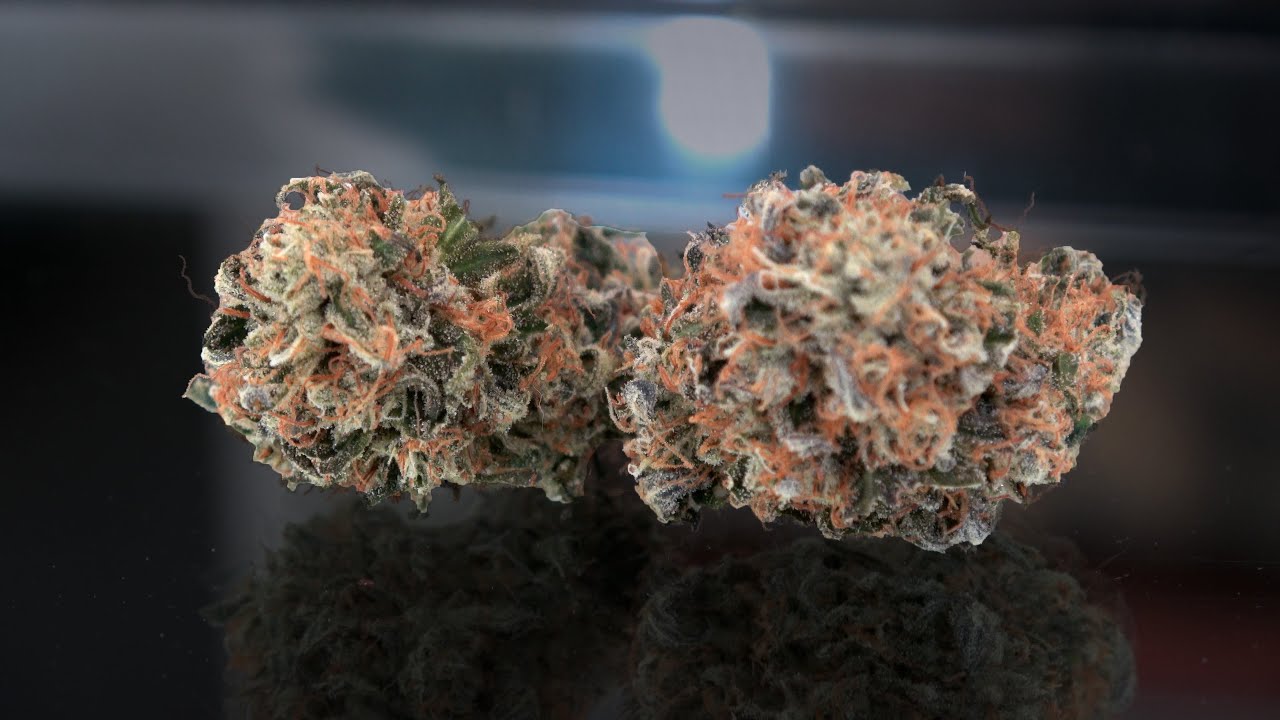 Animal Gelato Marijuana Monday