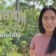 Conversations in Cannabis: Tiffany Chin, CEO of Death Row Cannabis