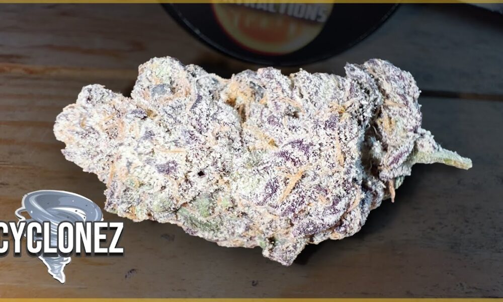 Cyclonez Toking Tuesday