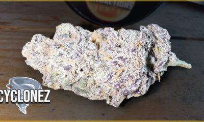 Cyclonez Toking Tuesday