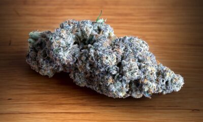 Frosted Gas Cake Marijuana Monday
