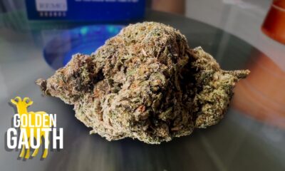 Golden Gauth Marijuana Monday