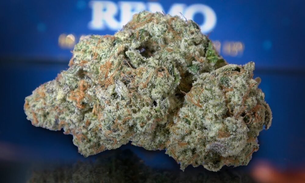 Maple Cream Marijuana Monday