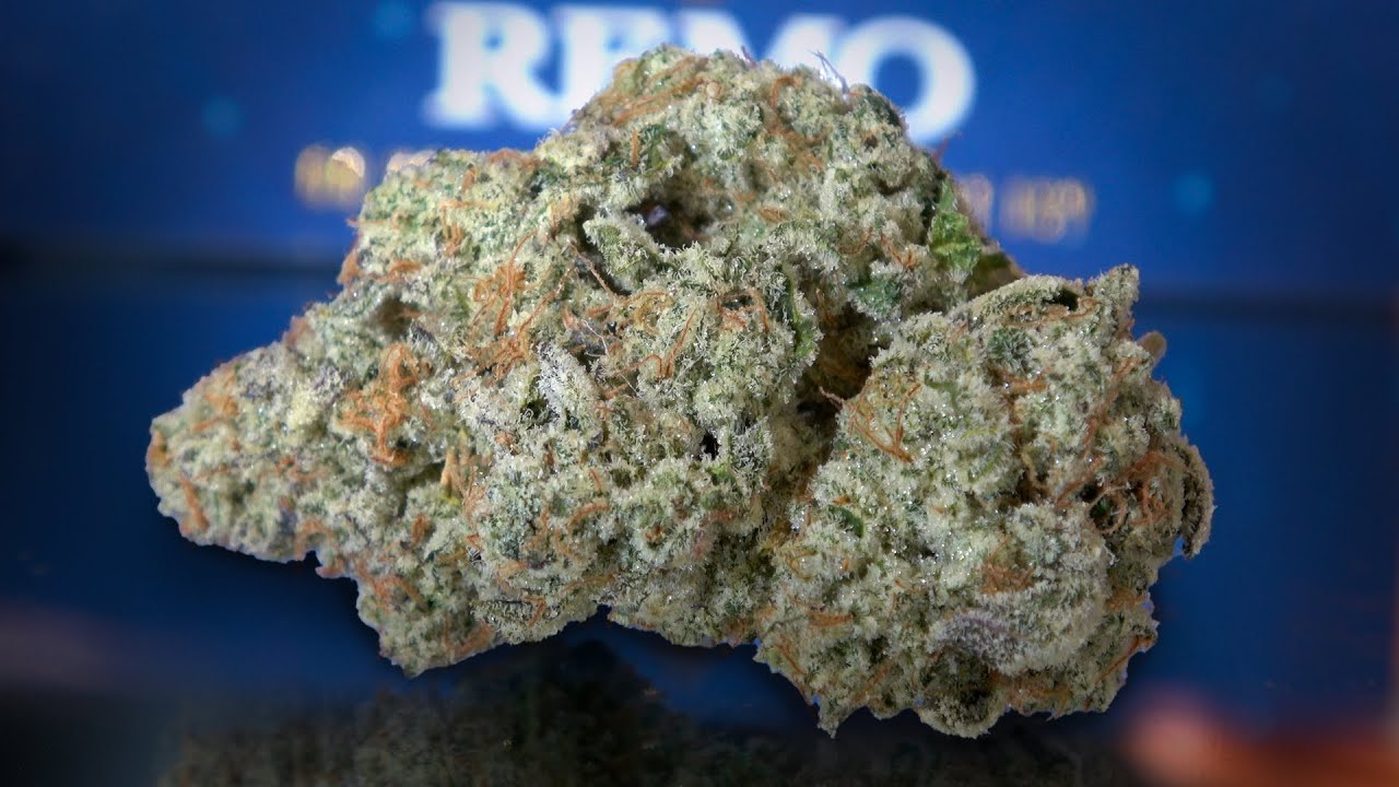 Maple Cream Marijuana Monday