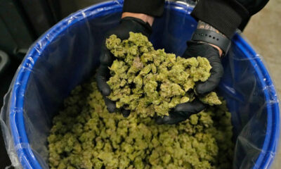 Marijuana Retail Report