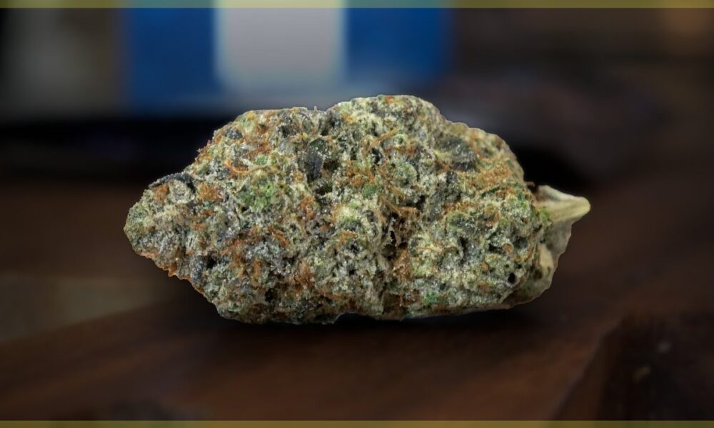 Octagon Kush Marijuana Monday