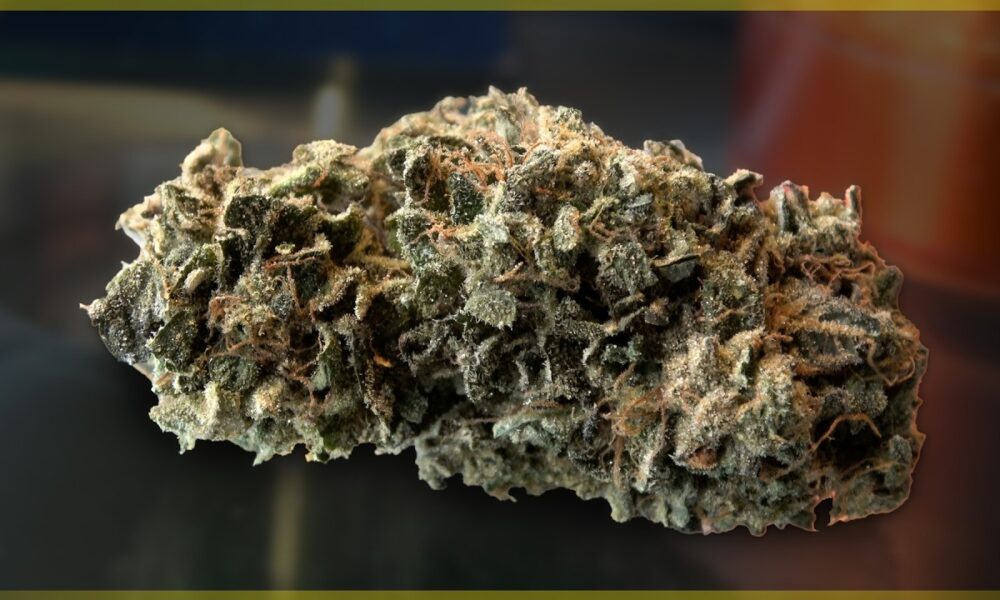 Pebble Mints OG Marijuana Monday