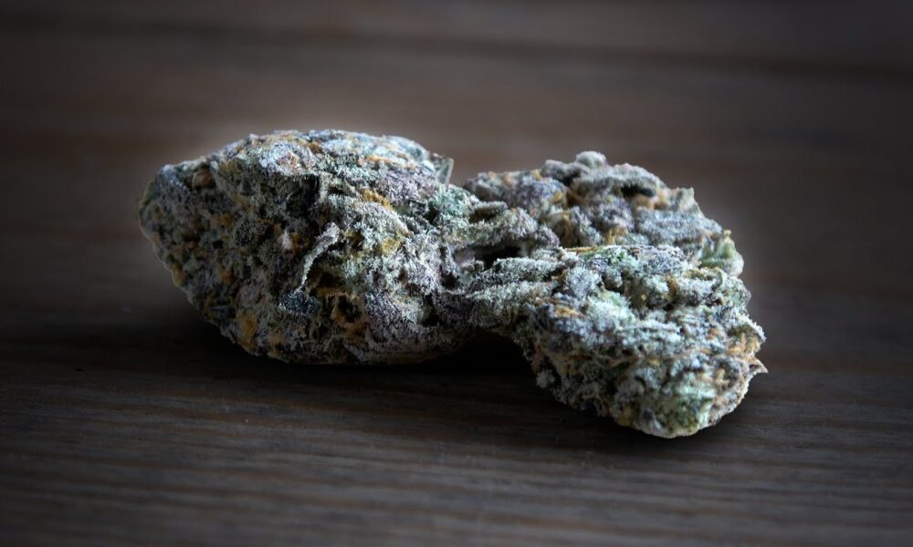 Pressure Marijuana Monday