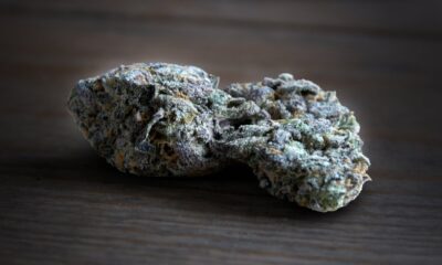 Pressure Marijuana Monday