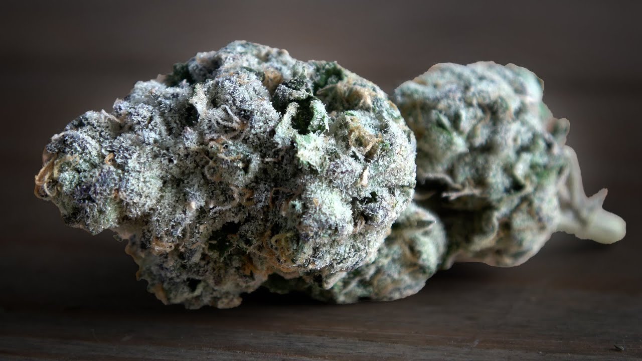 Project Z Marijuana Monday