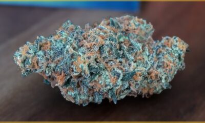Unicorn Marijuana Monday