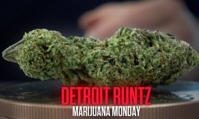 Detroit Runtz Marijuana Monday