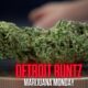 Detroit Runtz Marijuana Monday