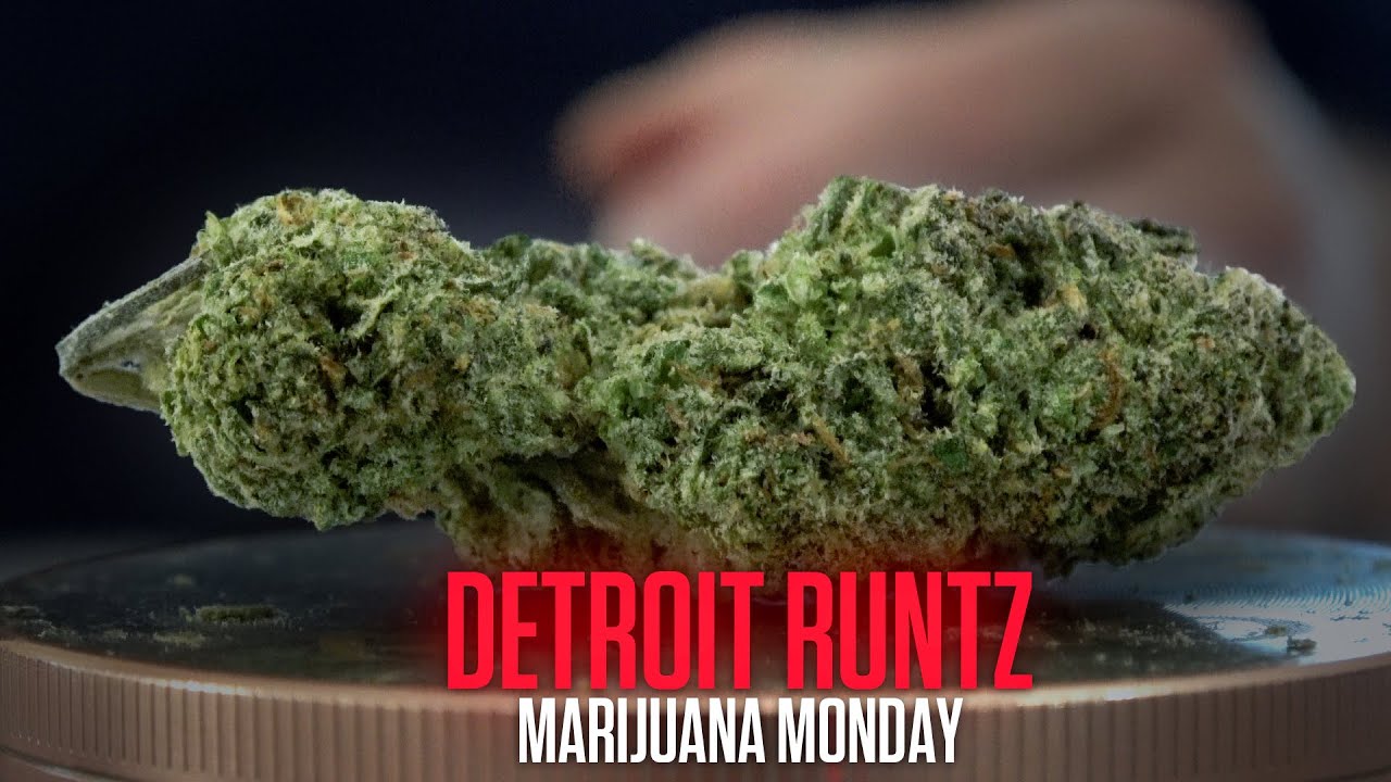 Detroit Runtz Marijuana Monday